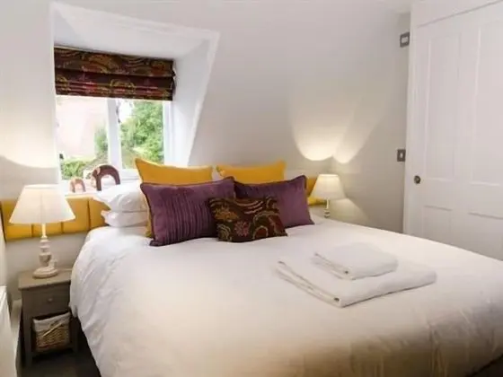 Tek Büyük Yataklı Oda, Banyolu/Duşlu (Room 1)