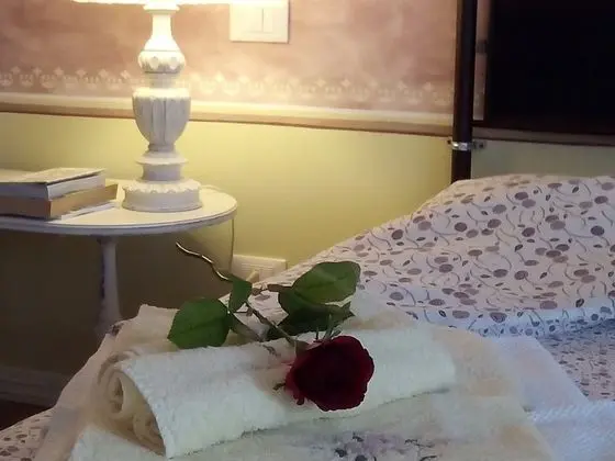 Design Tek Büyük veya İki Ayrı Yataklı Oda, Banyolu/Duşlu