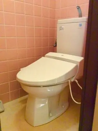 Traditional Oda (Japanese Style)