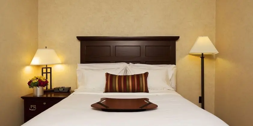 Executive Süit, 1 Yatak Odası, Sigara İçilmez