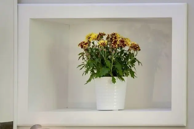 Stüdyo, 1 Çift Kişilik veya 2 Tek Kişilik Yatak (3rd floor, stair access only)