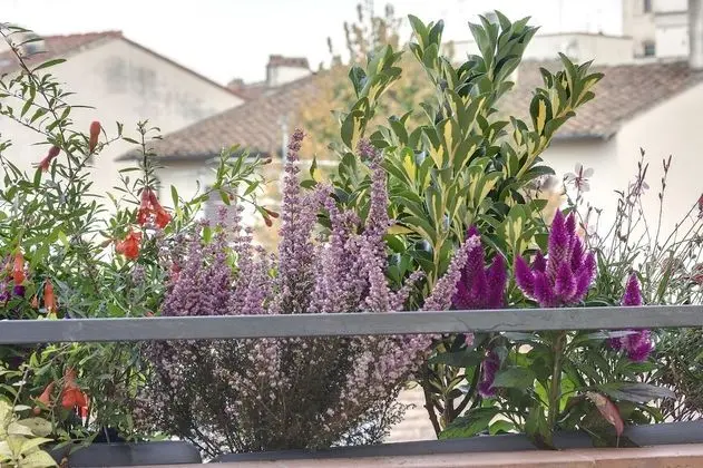 Stüdyo, 1 Çift Kişilik veya 2 Tek Kişilik Yatak (3rd floor, stair access only)