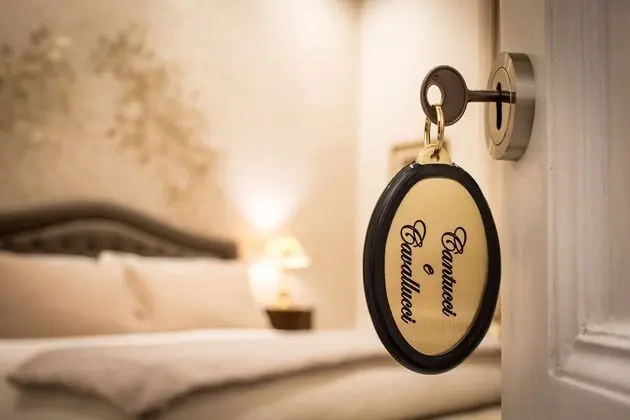Luxury Tek Büyük Yataklı Oda, Şehir Manzaralı