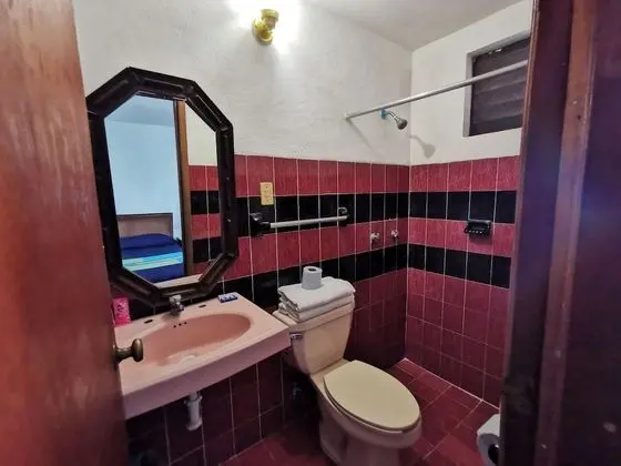 Standard Tek Büyük Yataklı Oda, 1 Yatak Odası