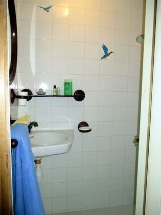 Süit