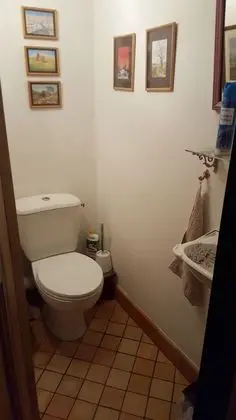 Süit