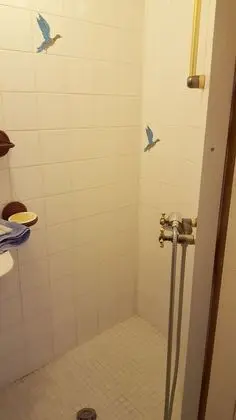 Süit