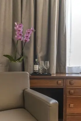 Superior Tek Büyük veya İki Ayrı Yataklı Oda