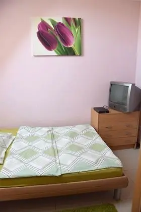 Tek Büyük veya İki Ayrı Yataklı Oda (Tulipany)