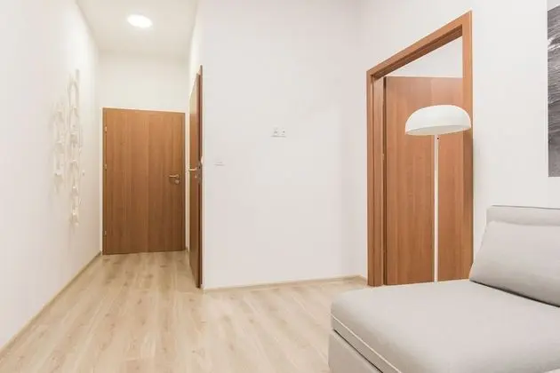Comfort Apart Daire, 1 Yatak Odası, Engellilere Uygun, Özel Banyo (2)