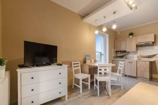 Apart Daire, 1 Yatak Odası (Living room, 4 people)
