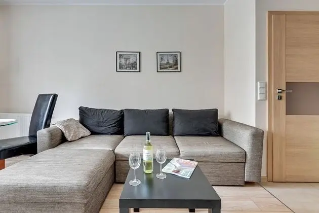 Apart Daire, 1 Yatak Odası, Balkon (living room for 4 adults)