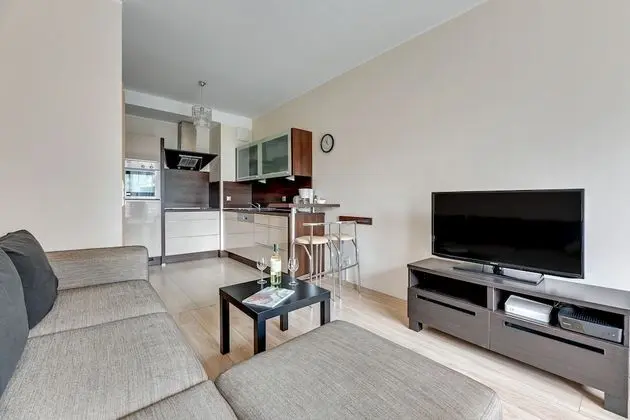 Apart Daire, 1 Yatak Odası, Balkon (living room for 4 adults)