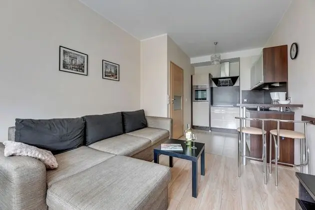 Apart Daire, 1 Yatak Odası, Balkon (living room for 4 adults)