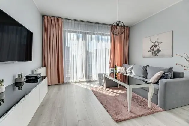 Deluxe Apart Daire, 1 Yatak Odası, Balkon (living room for 4 adults)