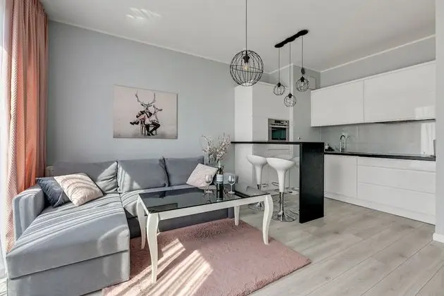 Deluxe Apart Daire, 1 Yatak Odası, Balkon (living room for 4 adults)