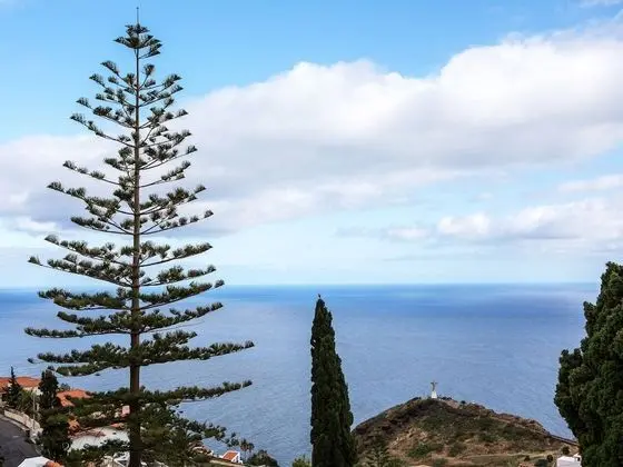 Tek Büyük veya İki Ayrı Yataklı Oda, Deniz Manzaralı