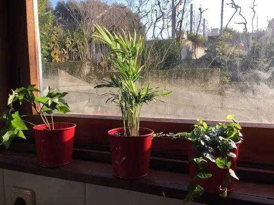 Apart Daire, 3 Yatak Odası, Bahçe Manzaralı