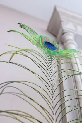 Superior Tek Büyük Yataklı Oda, Özel Banyo, Dağ Manzaralı