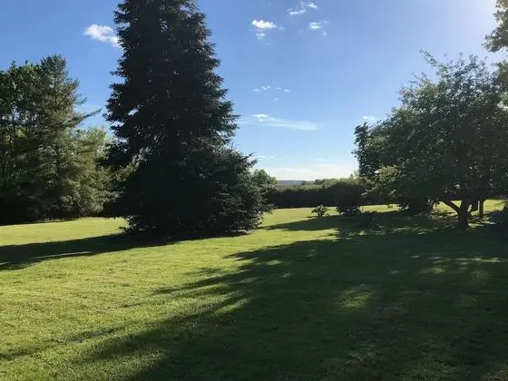 Tek Büyük Yataklı Oda (Jaune)