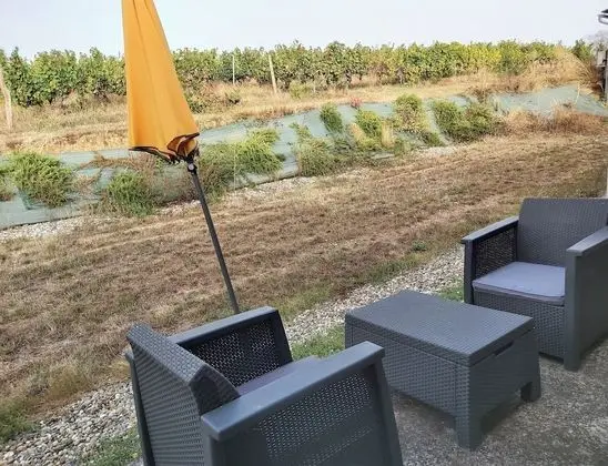 Comfort Oda, Üzüm Asması Manzaralı