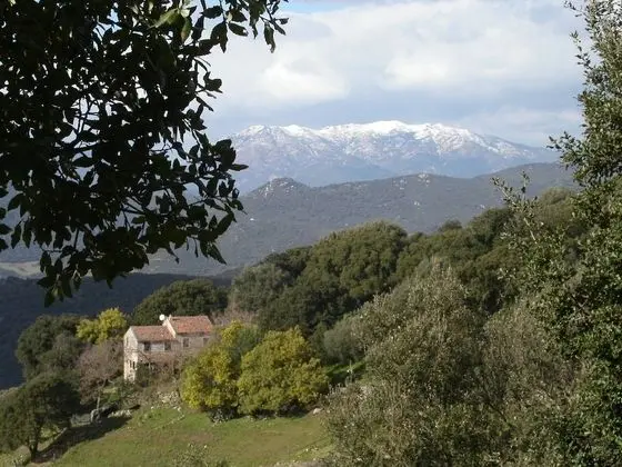 Family Oda (Côte Sauvage)