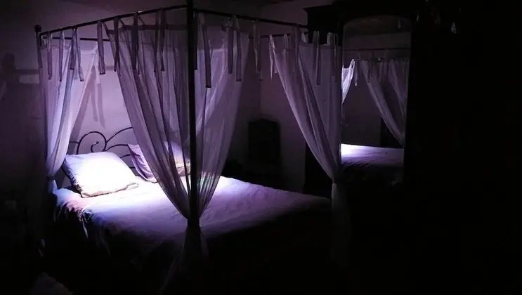 Tek Büyük Yataklı Oda (L’Intrigante)