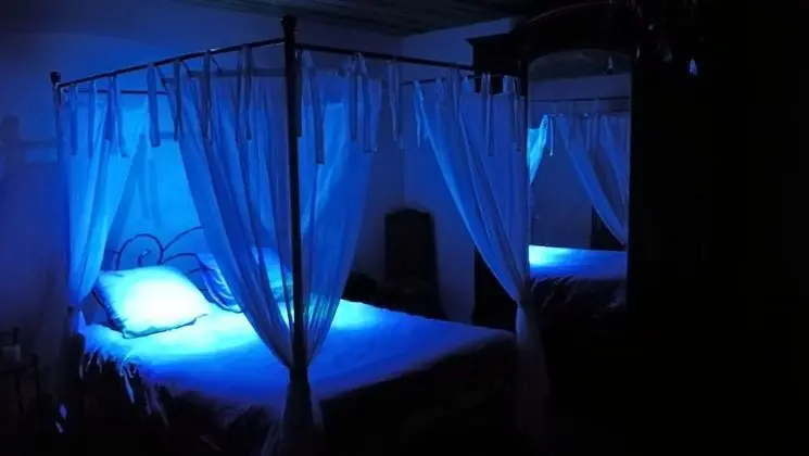 Tek Büyük Yataklı Oda (L’Intrigante)