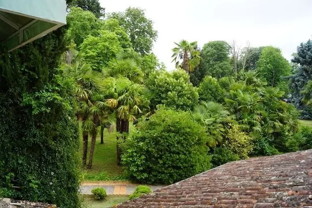 Süit, Park Manzaralı