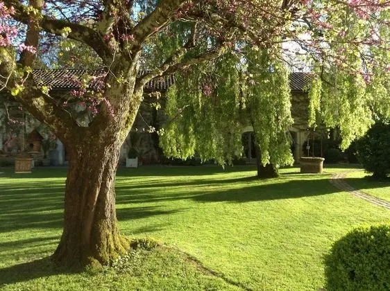 Superior Tek Büyük Yataklı Oda, Park Manzaralı (Moulis)