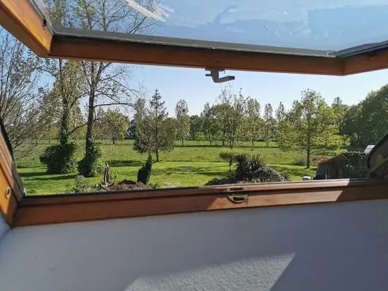 Comfort Oda, 1 En Büyük (King) Boy Yatak, Sigara İçilmez, Bahçe Manzaralı (Retour de Peche)