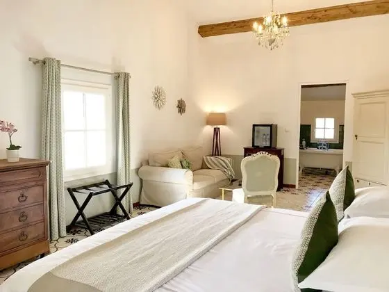 Deluxe Oda, 1 En Büyük (King) Boy Yatak, Üzüm Asması Manzaralı