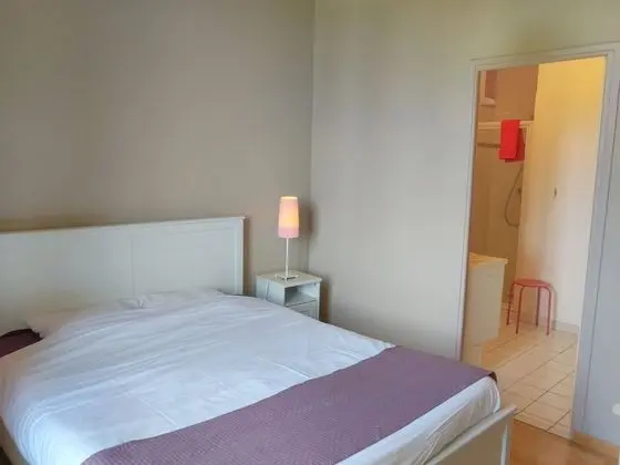 Tek Büyük Yataklı Oda, Banyolu/Duşlu (Guiraude)