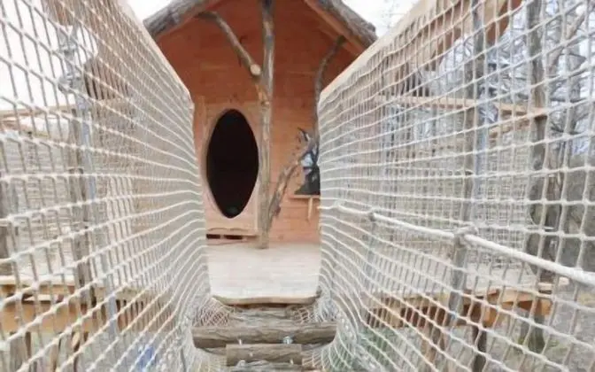 Ağaç Ev (Hut on Stilts)