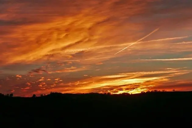 İki Ayrı Yataklı Oda (Lavande)