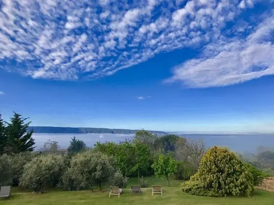 Superior Tek Büyük Yataklı Oda, Bahçeli