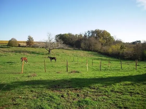 Luxury Tek Büyük Yataklı Oda, Banyolu/Duşlu (Vue sur vignes - Vanille)