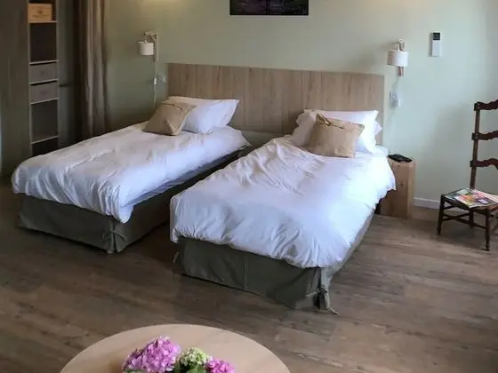 Premium Tek Büyük Yataklı Oda, Özel Banyo