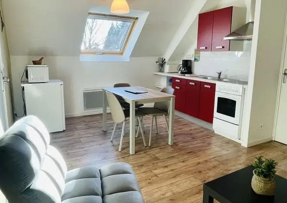 Apart Daire (Orchidee)