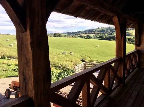Tek Büyük Yataklı Oda, Balkon