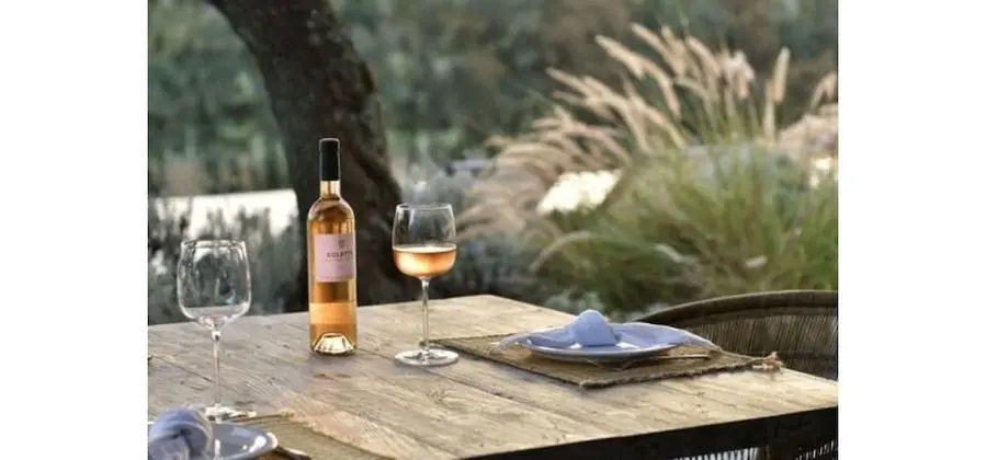 Premium Villa, 1 Bedroom (Josephine)