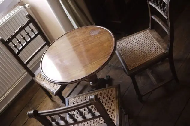 Family Oda (Magnolia)