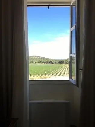 Tek Büyük Yataklı Oda (Bourboulenc et Muscat)