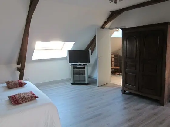 Tek Büyük Yataklı Oda, Banyolu/Duşlu (Chambre Lucy)