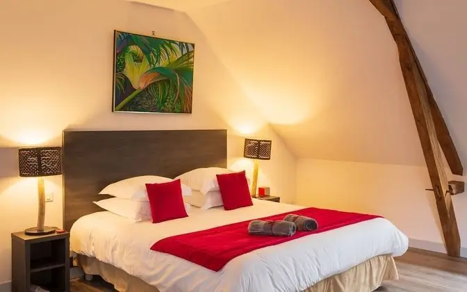 Tek Büyük Yataklı Oda, Banyolu/Duşlu (Chambre Lucy)