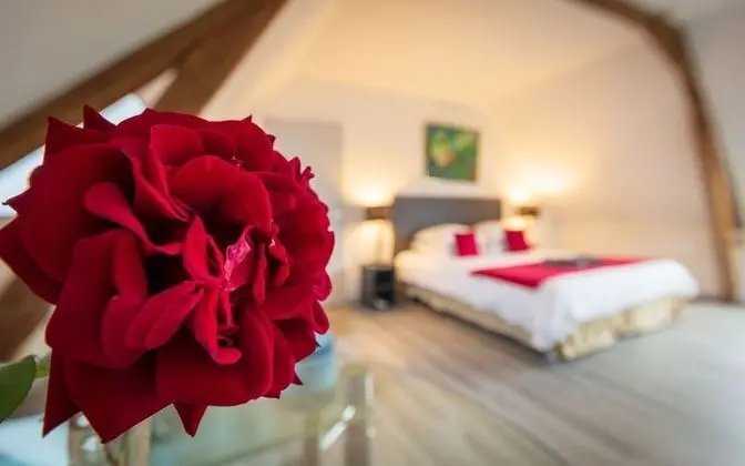 Tek Büyük Yataklı Oda, Banyolu/Duşlu (Chambre Lucy)