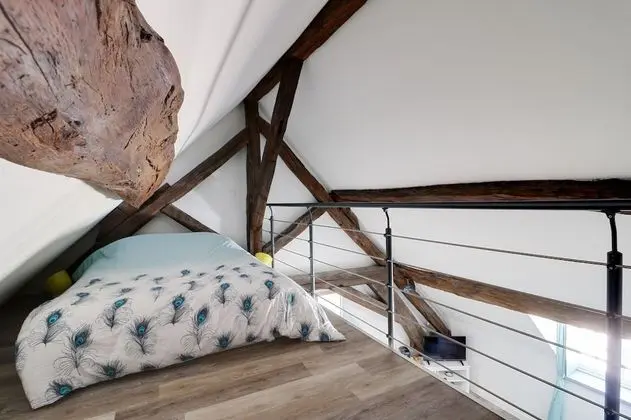 Premium Stüdyo, 1 Çift Kişilik Yatak, Mutfak, Bahçeli