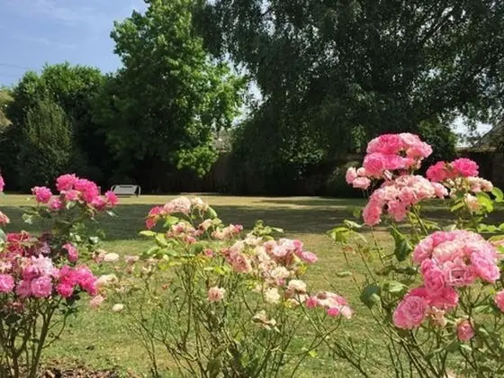 Premium Stüdyo, 1 Çift Kişilik Yatak, Mutfak, Bahçeli