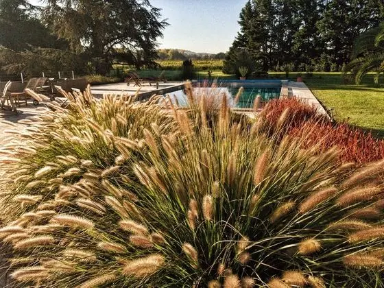 Deluxe Oda, 1 Büyük (Queen) Boy Yatak, Nehir Manzaralı