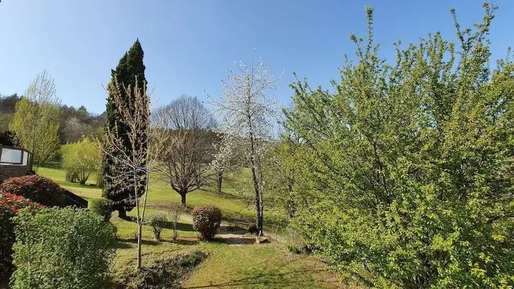 Ev, 2 Yatak Odası (Cristal)